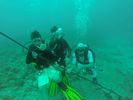 Hawaii Scuba divng 49