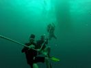 Hawaii Scuba divng 04