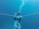 Hawaii Scuba divng 53