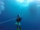 Hawaii Scuba divng 54