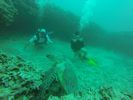 Hawaii Scuba divng 77