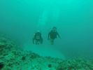 Hawaii Scuba divng 87