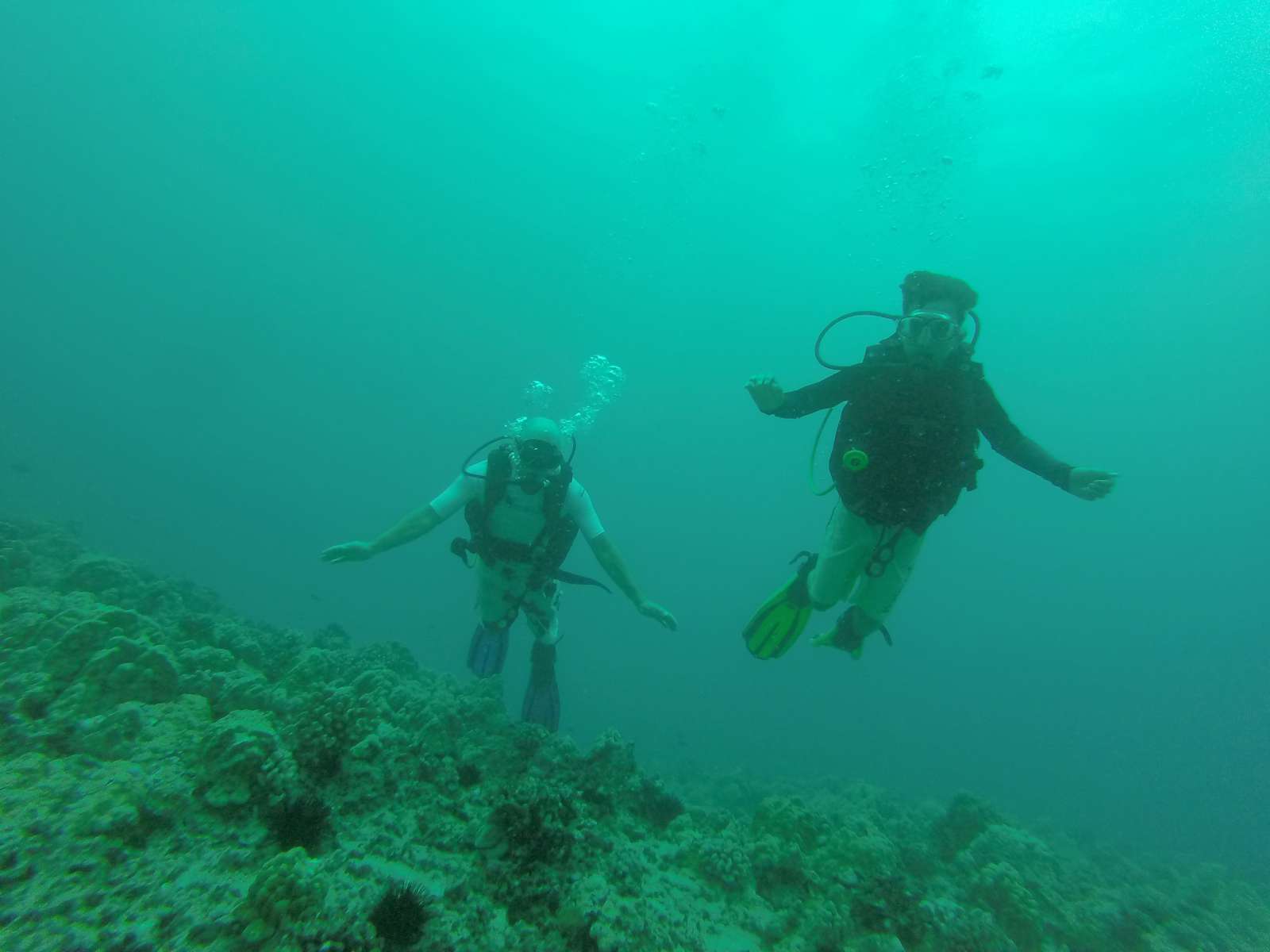 Hawaii Scuba Diving - 06-06-2016