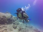 Hawaii Scuba divng 10