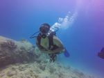 Hawaii Scuba divng 11