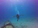 Hawaii Scuba divng 12