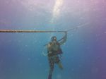 Hawaii Scuba divng 16