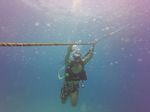 Hawaii Scuba divng 17