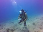 Hawaii Scuba divng 19