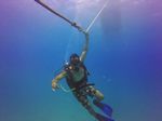 Hawaii Scuba divng 04