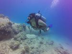 Hawaii Scuba divng 09