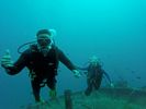 Hawaii Scuba divng 16