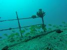 Hawaii Scuba divng 18