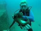 Hawaii Scuba divng 19