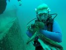 Hawaii Scuba divng 20