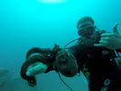 Hawaii Scuba divng 25