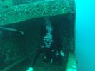 Hawaii Scuba divng 31