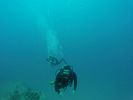 Hawaii Scuba divng 36