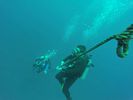 Hawaii Scuba divng 39