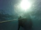 Hawaii Scuba divng 03