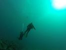 Hawaii Scuba divng 42