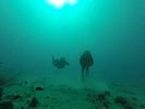 Hawaii Scuba divng 46