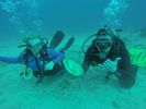 Hawaii Scuba divng 51