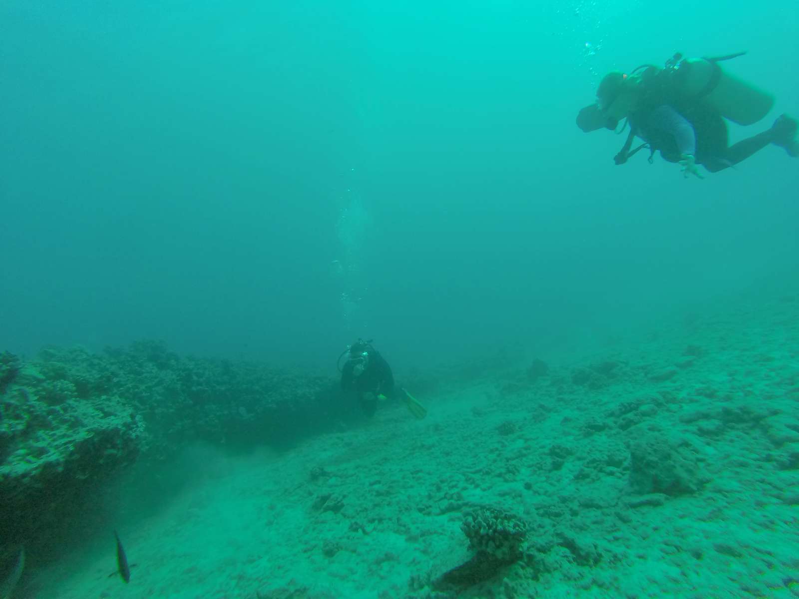 Hawaii Scuba Diving - 06-07-2016