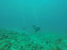 Hawaii Scuba divng 66