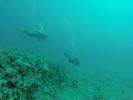 Hawaii Scuba divng 79