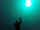 Hawaii Scuba divng 07
