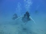 Hawaii Scuba divng 13