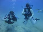 Hawaii Scuba divng 14