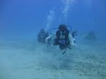 Hawaii Scuba divng 16