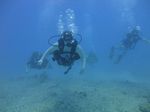 Hawaii Scuba divng 17