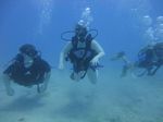 Hawaii Scuba divng 18