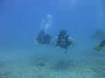 Hawaii Scuba divng 20