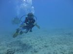 Hawaii Scuba divng 21