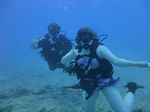 Hawaii Scuba divng 23