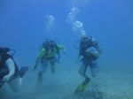 Hawaii Scuba divng 24