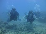 Hawaii Scuba divng 27