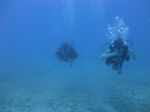 Hawaii Scuba divng 31