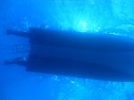 Hawaii Scuba divng 38