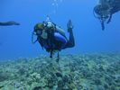 Hawaii Scuba divng 10