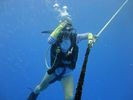 Hawaii Scuba divng 17