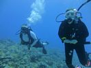 Hawaii Scuba divng 23