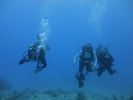 Hawaii Scuba divng 24