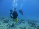 Hawaii Scuba divng 25