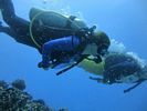 Hawaii Scuba divng 42