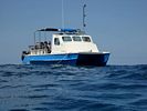 Hawaii Scuba divng 44